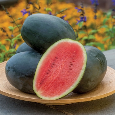 Picture of 10 Pcs Black Global Lazy King Watermelon Seeds