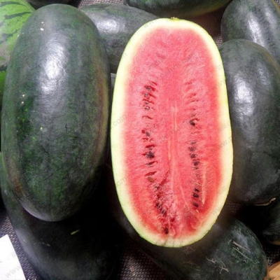 Picture of 10 Pcs Black Global Lazy King Watermelon Seeds