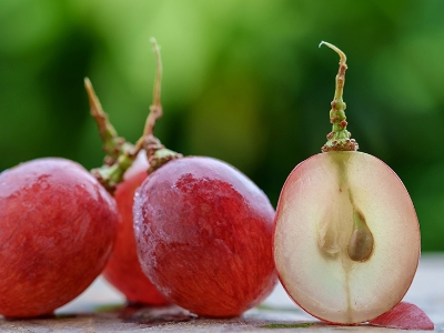 Picture of 15 Pcs Miniature Grape SeedS - 15 Pcs Seeds (Imported Global Seeds)