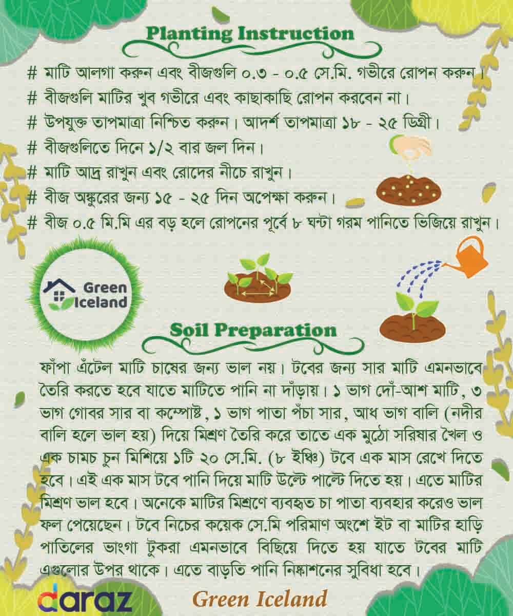 Picture of Global Peach Tree Seeds  - 03 Pcs SeedS