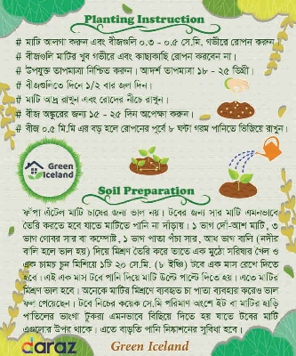 Picture of Global Peach Tree Seeds  - 03 Pcs SeedS