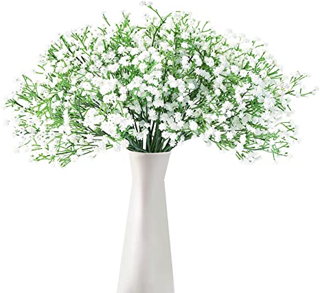 Picture of 80 Pcs All Season Gypsophila Flower SeedS 