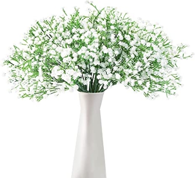 Picture of 80 Pcs All Season Gypsophila Flower SeedS 