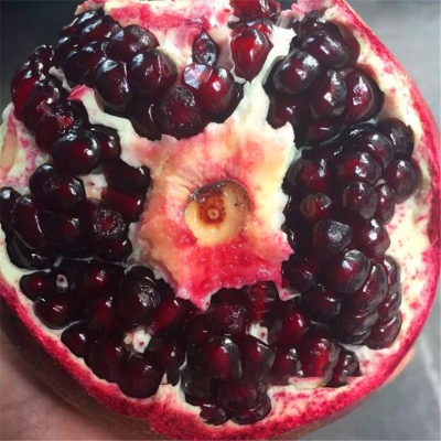 Picture of All Season Pomegranate Bonsai Seeds - 15 Pcs SeedS