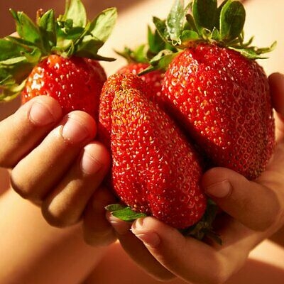 Picture of Giant Japan Strawberry Fruit Bonsai 25+ SeedS
