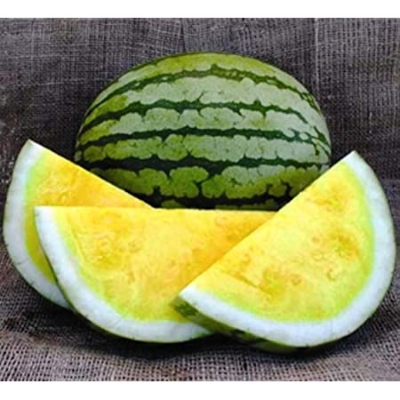 Picture of All Season Yellow watermelon Bonsai Seeds - 10 Pcs SeedS