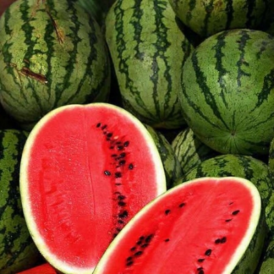 Picture of Watermelon SeedS  - 10 Pcs SeedS