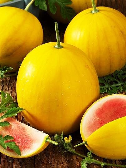 Picture of 10 Pcs Small Yellow watermelon Bonsai SeedS