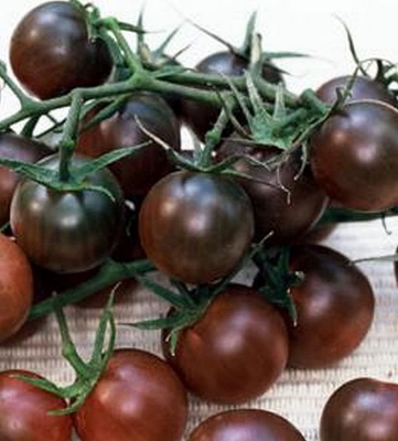 Picture of All Season Black Cherry Tomato Seeds - 20 Pcs SeedS