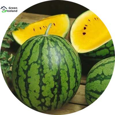 Picture of 10 Pcs Natural Small Yellow watermelon Bonsai SeedS