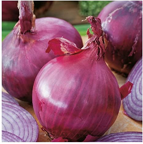 Picture of 100 PcS Red Onion Seeds - 100 PcS Seeds (Imported Global Seeds)