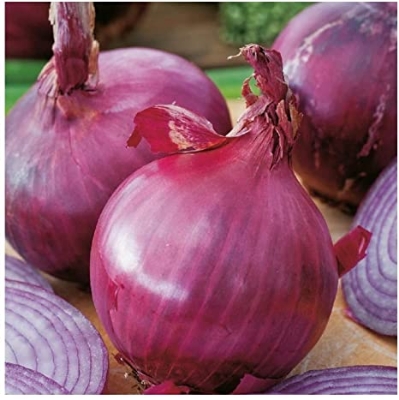 Picture of 100 PcS Red Onion Seeds - 100 PcS Seeds (Imported Global Seeds)