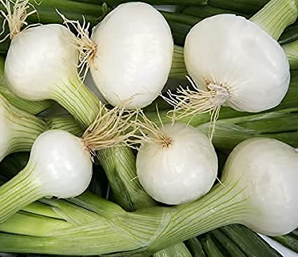 Picture of Organic white Onion Seeds - 100 Pcs SeedS