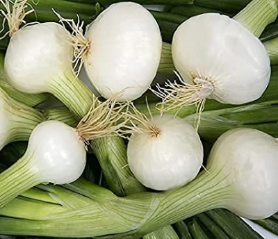 Picture of Organic white Onion Seeds - 100 Pcs SeedS