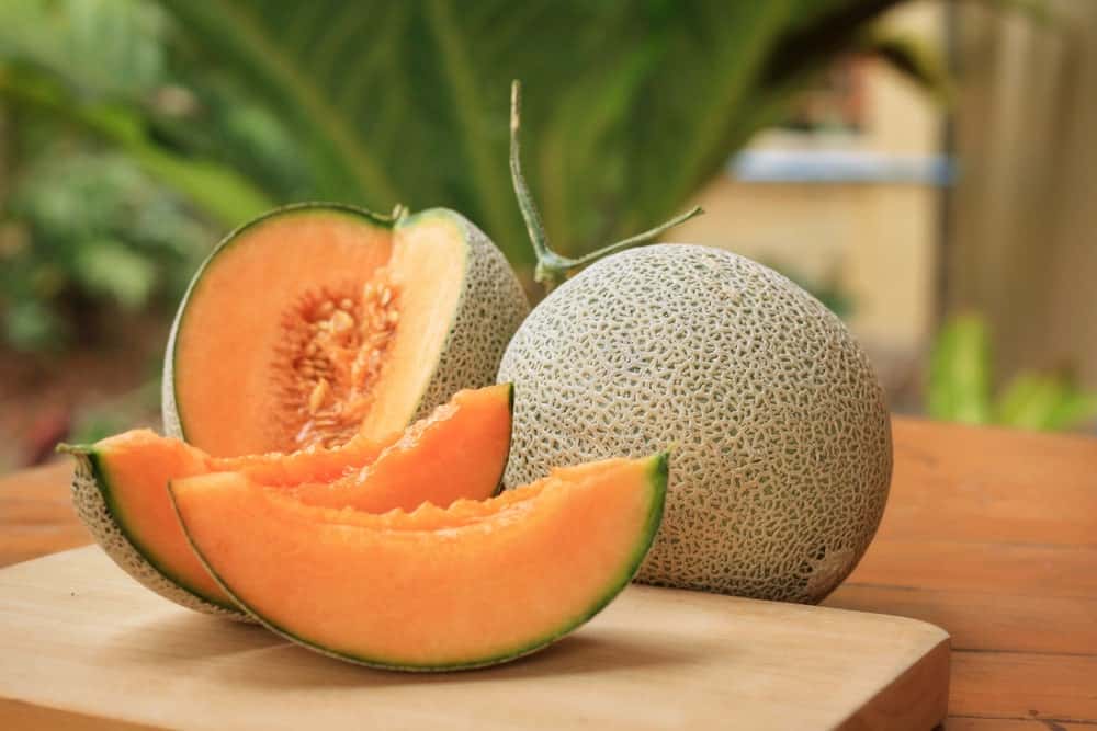 Picture of 8 Pcs Natural Delicious Mini Sweet Melon SeedS