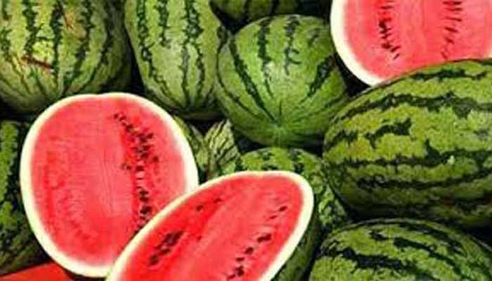 Picture of Natural Watermelon Bonsai Seeds  - 10 Pcs SeedS