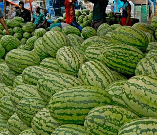 Picture of 10 pieceS of Chinese hybrid watermelon seedS