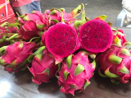 Picture of 15+ Pcs Natural Bonsai Dragon Pitaya Fruit Seeds - 15+ Pcs Seeds (Intact Packet)