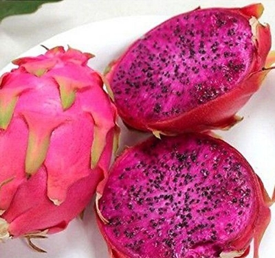 Picture of 15+ Pcs Natural Bonsai Dragon Pitaya Fruit Seeds - 15+ Pcs Seeds (Intact Packet)