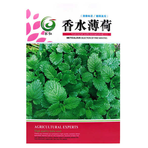 Picture of Perfume Mint Seeds- 100pcS Intec PackeT