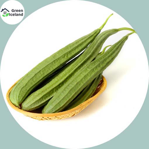 Picture of All Season Jhinga / Shrimp Seeds - 10 Pcs SeedS(INTACT PACKET)