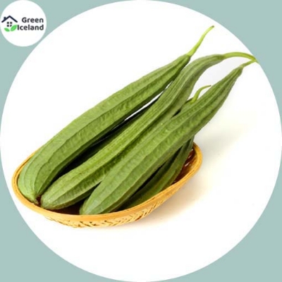 Picture of All Season Jhinga / Shrimp Seeds - 10 Pcs SeedS(INTACT PACKET)