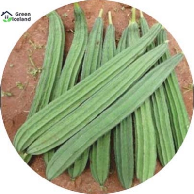 Picture of All Season Jhinga / Shrimp Seeds - 10 Pcs SeedS(INTACT PACKET)