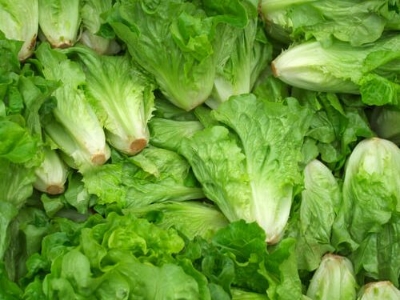 Picture of Lettuce Seeds Salad Vegetables Four Seasons Fast-Growing Vegetable Seeds 200 grain SeedS( Intec Packet)