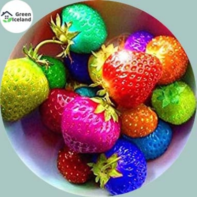 Picture of Organic Mix Strawberry SeedS - 30 Pcs SeedS