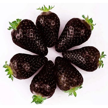 Picture of Giant 25 Pcs Black Strawberry Seeds - 25 Pcs SeedS
