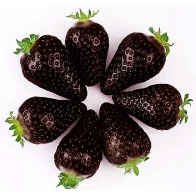 Picture of Giant 25 Pcs Black Strawberry Seeds - 25 Pcs SeedS