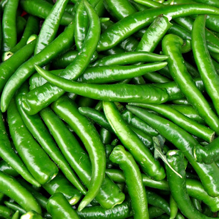 Picture of Global Long Spicy Green Chili SeedS  - 20 Pcs SeedS