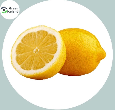 Picture of Global Dwarf Lemon Tree Seeds - 10 Pcs SeedS