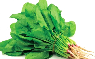 Picture of organic Spinach / Palong Shak SeedS - 50Pcs Seeds