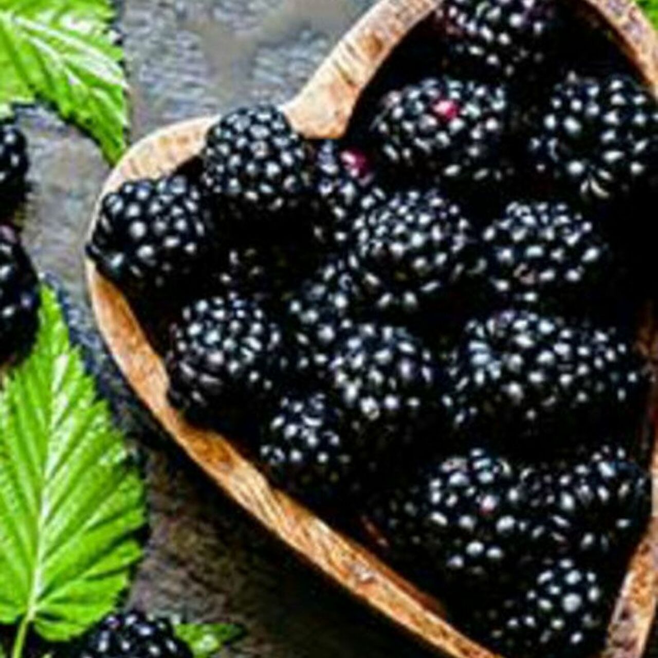 Picture of Rare 30 Pcs Black Mulberry Seeds - 30 Pcs SeedS