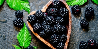 Picture of Rare 30 Pcs Black Mulberry Seeds - 30 Pcs SeedS