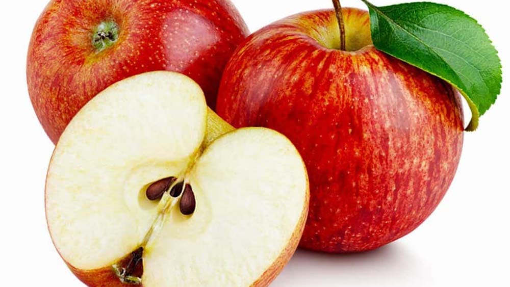 Picture of Global Apple Seeds - 15 Pcs SeedS
