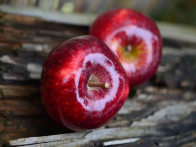 Picture of Global Apple Seeds - 15 Pcs SeedS