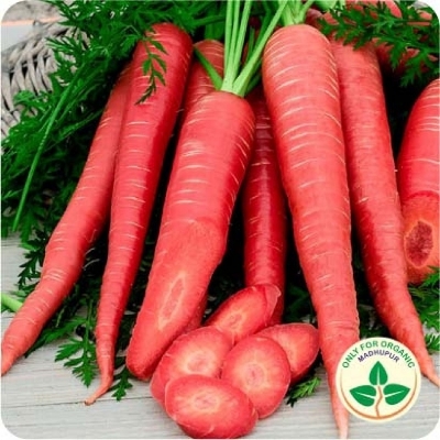 Picture of Natural Red Carrot Seeds  - 50 Pcs SeedS
