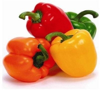 Picture of 10+ Pcs Capsicum SeedS