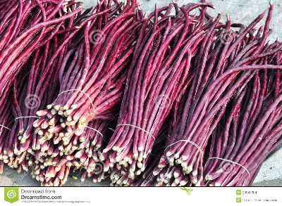 Picture of Hybrid Red String Beans Borboti 10 pcs SeedS