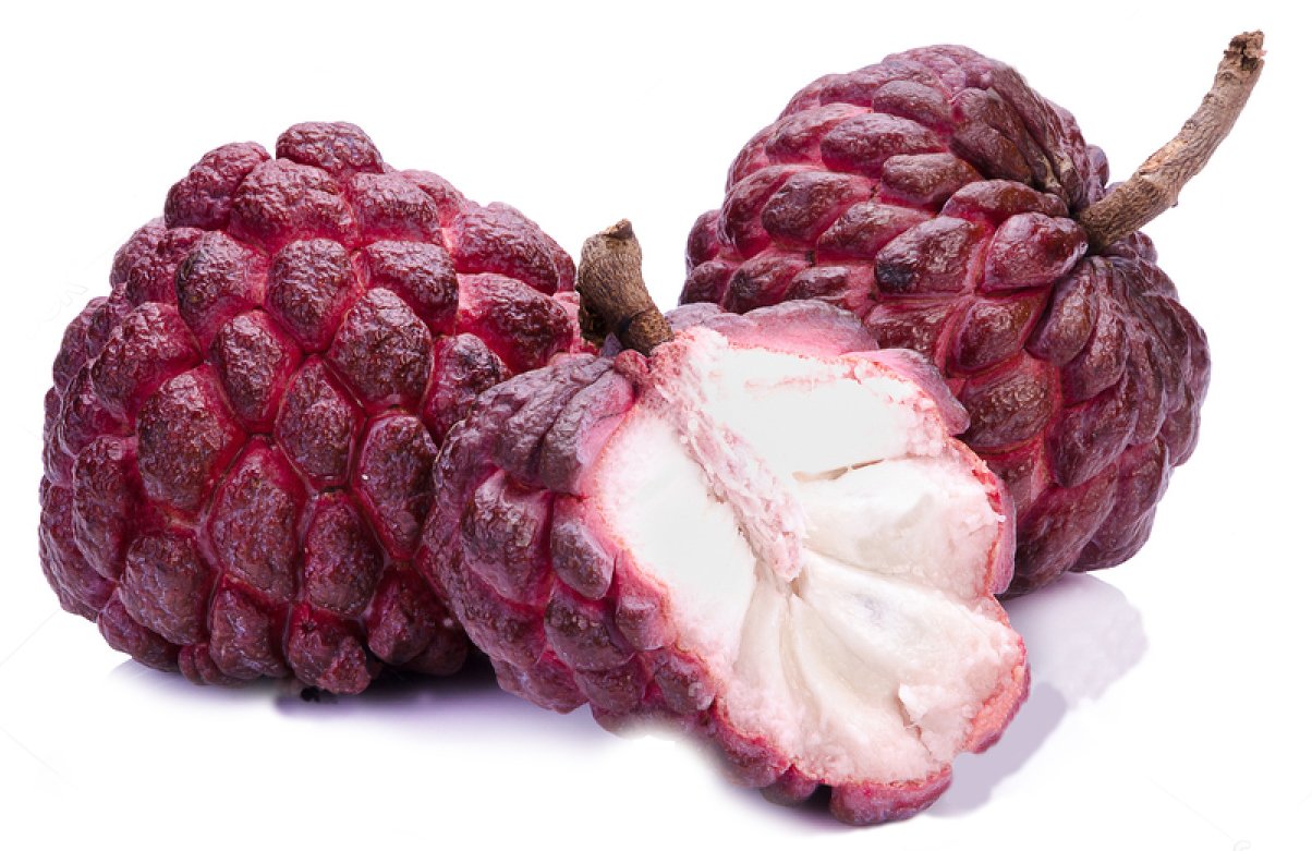Picture of Suger Free Red Custard Apple Seeds  - 10 Pcs SeedS