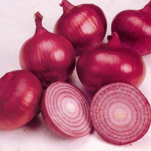 Picture of Red OnionSeeds - 100 pcs SEEDS