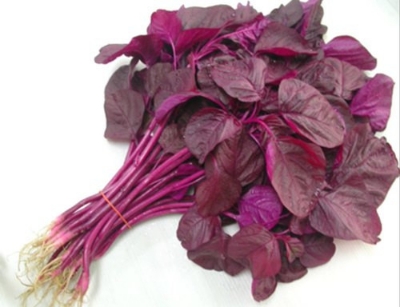 Picture of 100 PcS Global Lal Shak/ Red spinach Seeds