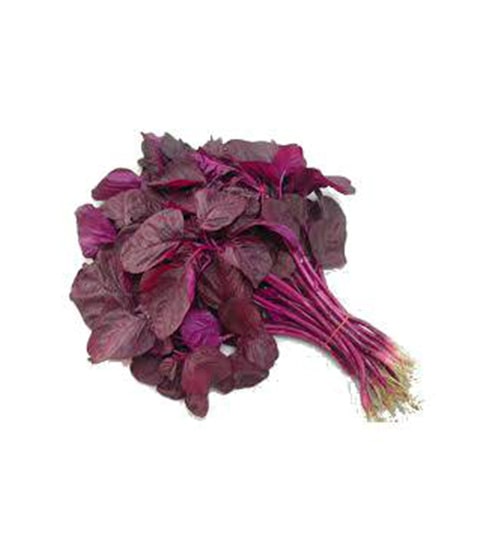 Picture of 100 PcS Global Lal Shak/ Red spinach Seeds