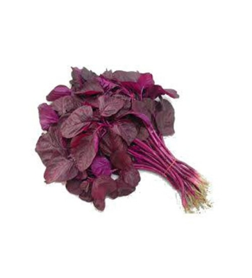 Picture of 100 PcS Global Lal Shak/ Red spinach Seeds