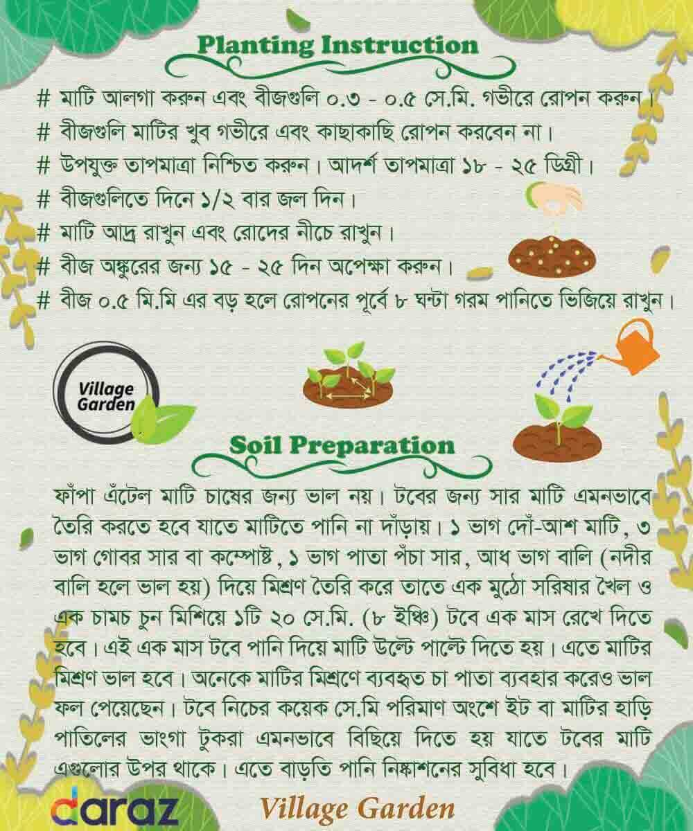 Picture of 100 PcS Global Lal Shak/ Red spinach Seeds