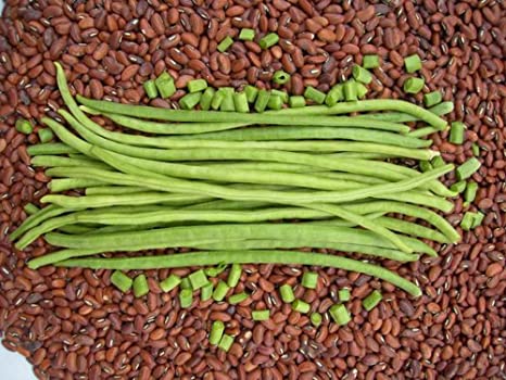 Picture of String Beans (Borboti) Seeds - 15 PcS