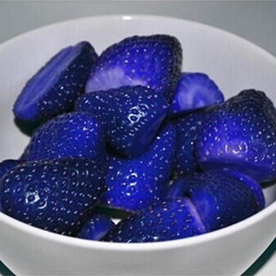 Picture of Global Blue Strawberry SeedS - 30 Pcs SeedS