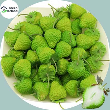 Picture of Giant 25 Pcs Green Strawberry Seeds - 25 Pcs SeedS
